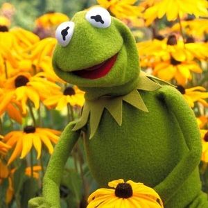 Meet your Posher, Eva